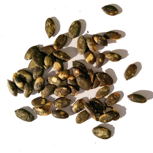 Stony Brook WholeHeartedFoods - Wholesale Nuts - Pepitas, Brined & Roasted Pumpkin Seeds3