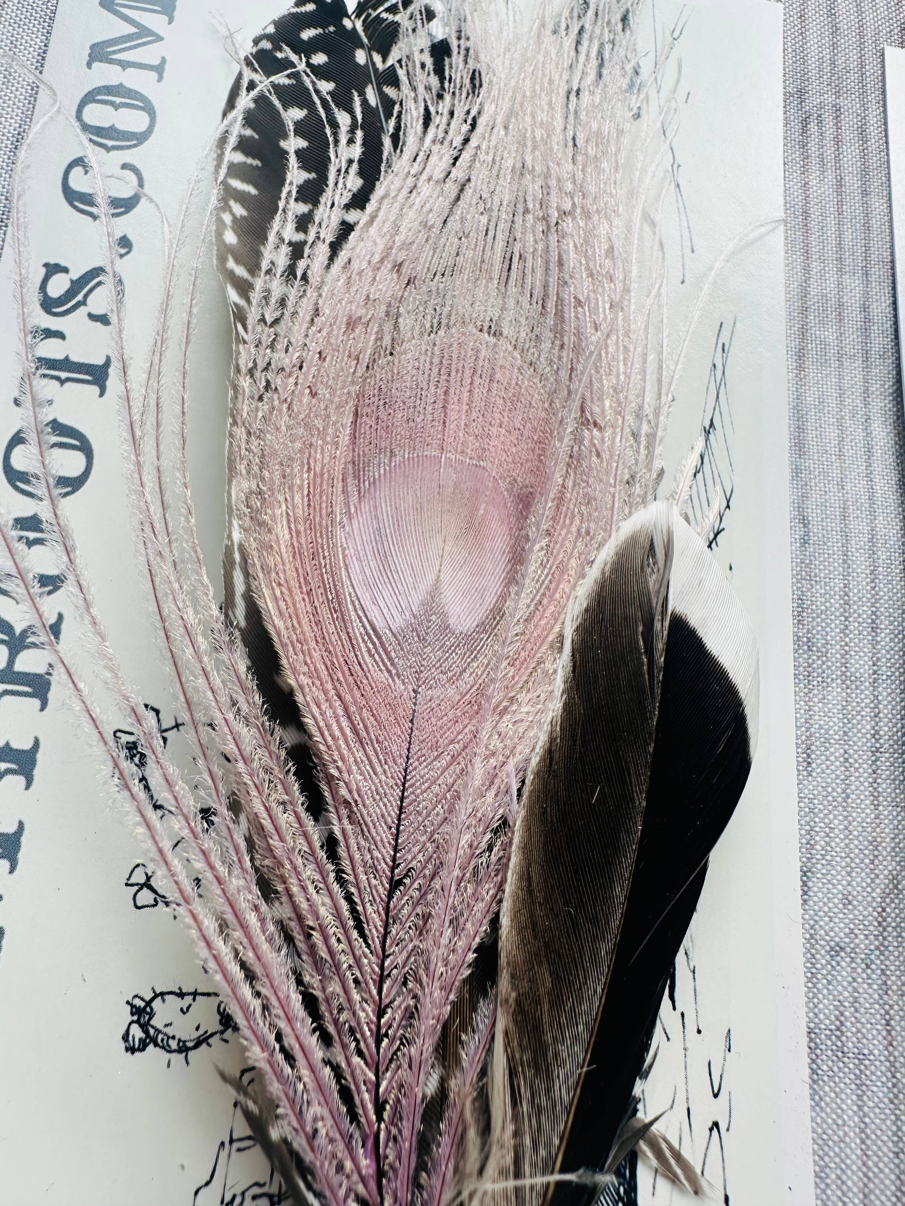 Boots Are My Roots - Vente Accessoire pour chapeau – femme - Épingles à chapeau à plumes mélangées #117