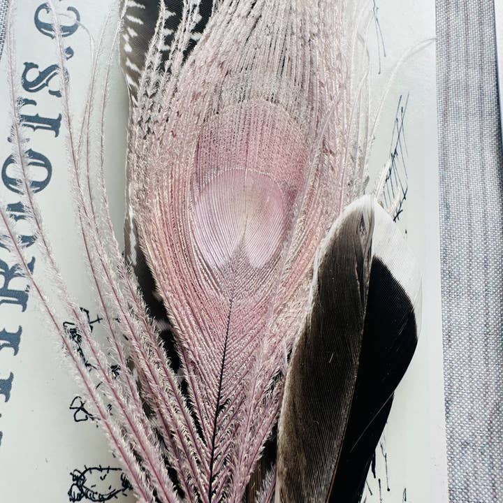 Boots Are My Roots - Wholesale Hat Accessory - Women's - Mixed Feather Hat Pins #117