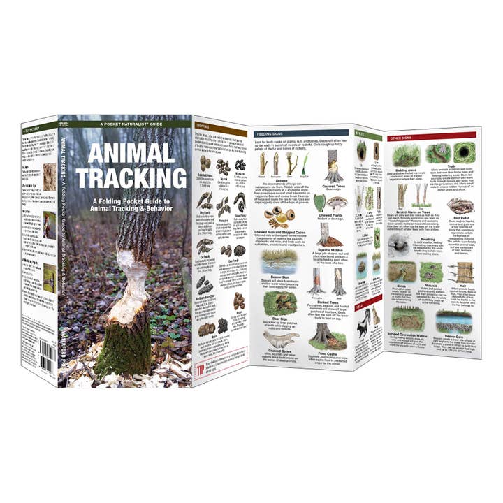 Waterford Press - Wholesale Nature Guide - Animal Tracking Field Guide