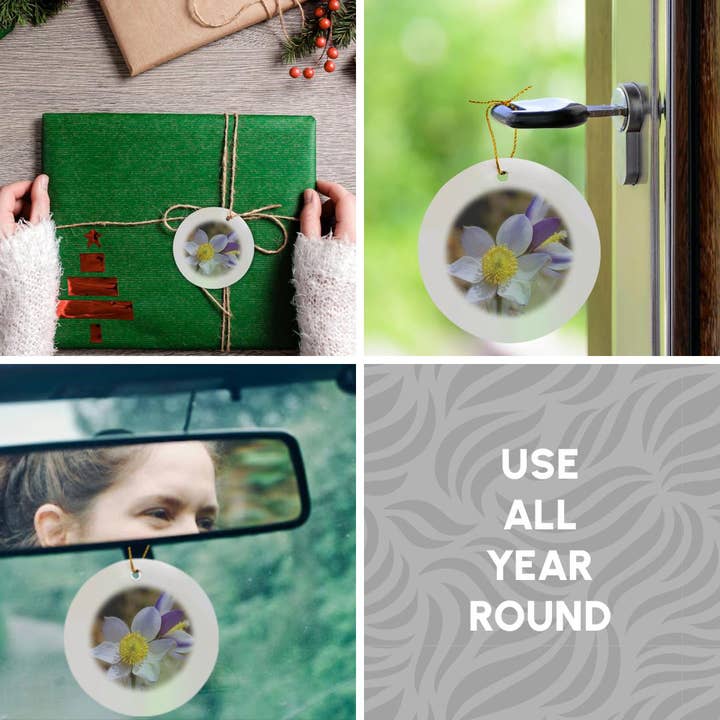 3dRose - Wholesale Ornament - 3dRose, Spring pasqueflower blooms in mountains of Otztal Alps, Italy., Ornament4