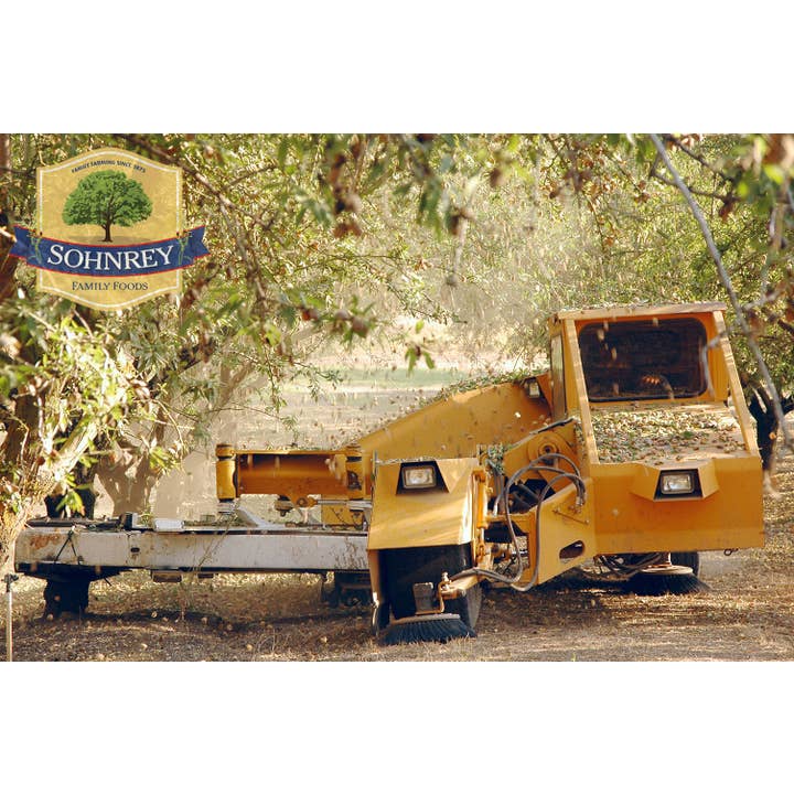 Sohnrey Family Foods LLC - Wholesale Nuts - 50 lb Bulk Box Whole Raw Nonpareil Almonds Extra #1 Grade5