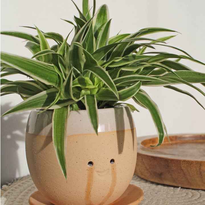 Crying pot ceramic flower pot for wholesale by MAGS