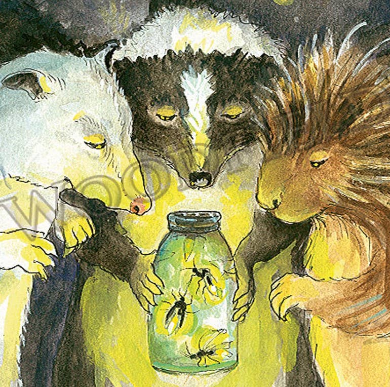 Woodfield Press – wholesale Stationery/notecard set – #311 - Fireflies Notecard2