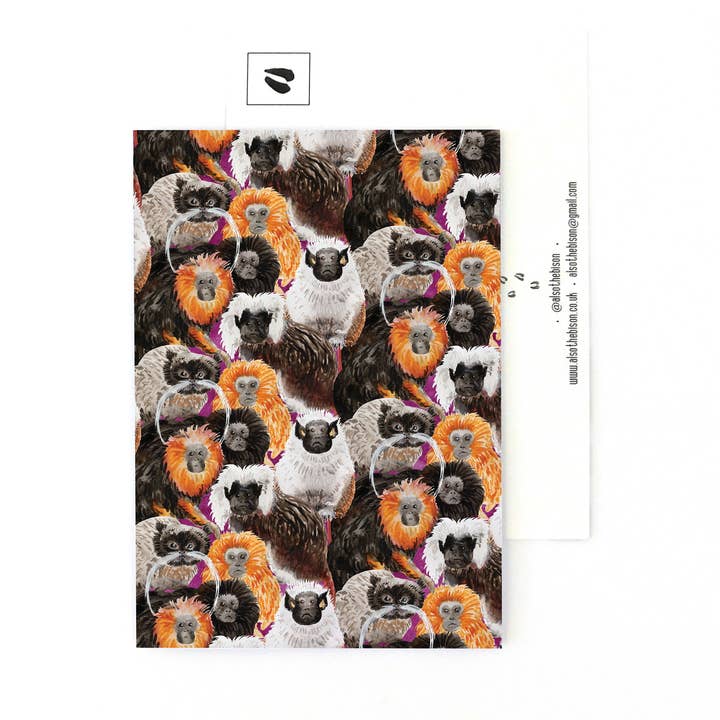 Troop of Tamarins Postcard for wholesale by Bison Bindery
