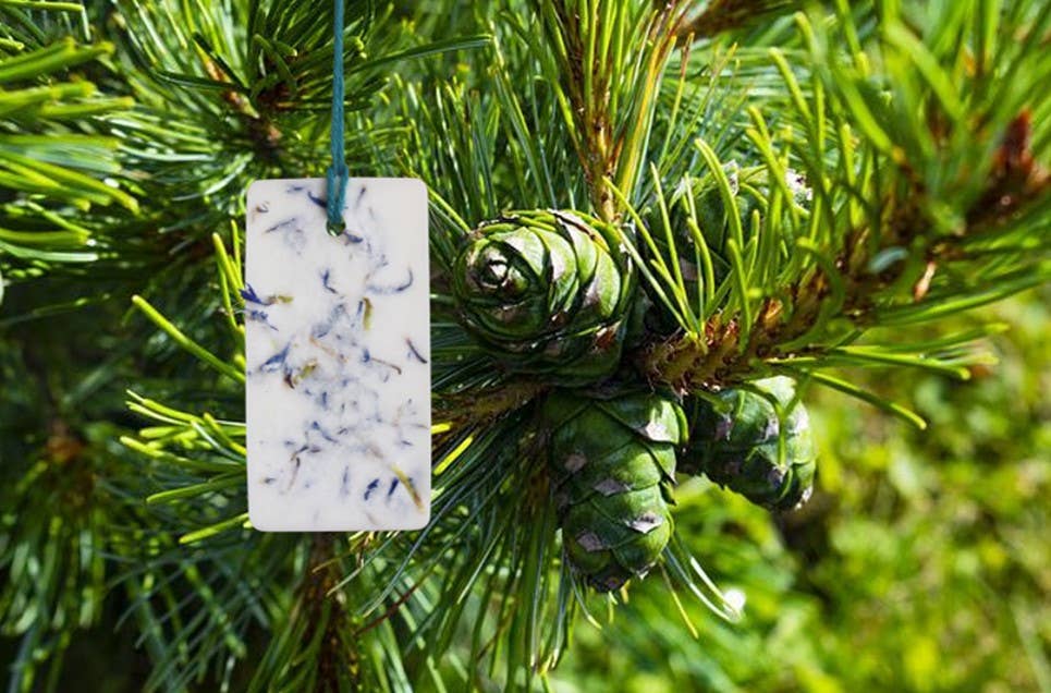 La Fabrique Des Lutins - Wholesale Wax Melt - Pack 48 Pebbles4