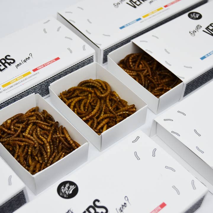 La cerise sur l'apéro – Engroshandel Kiks – Spiselige insekter - Æske med 3 smagsvarianter1