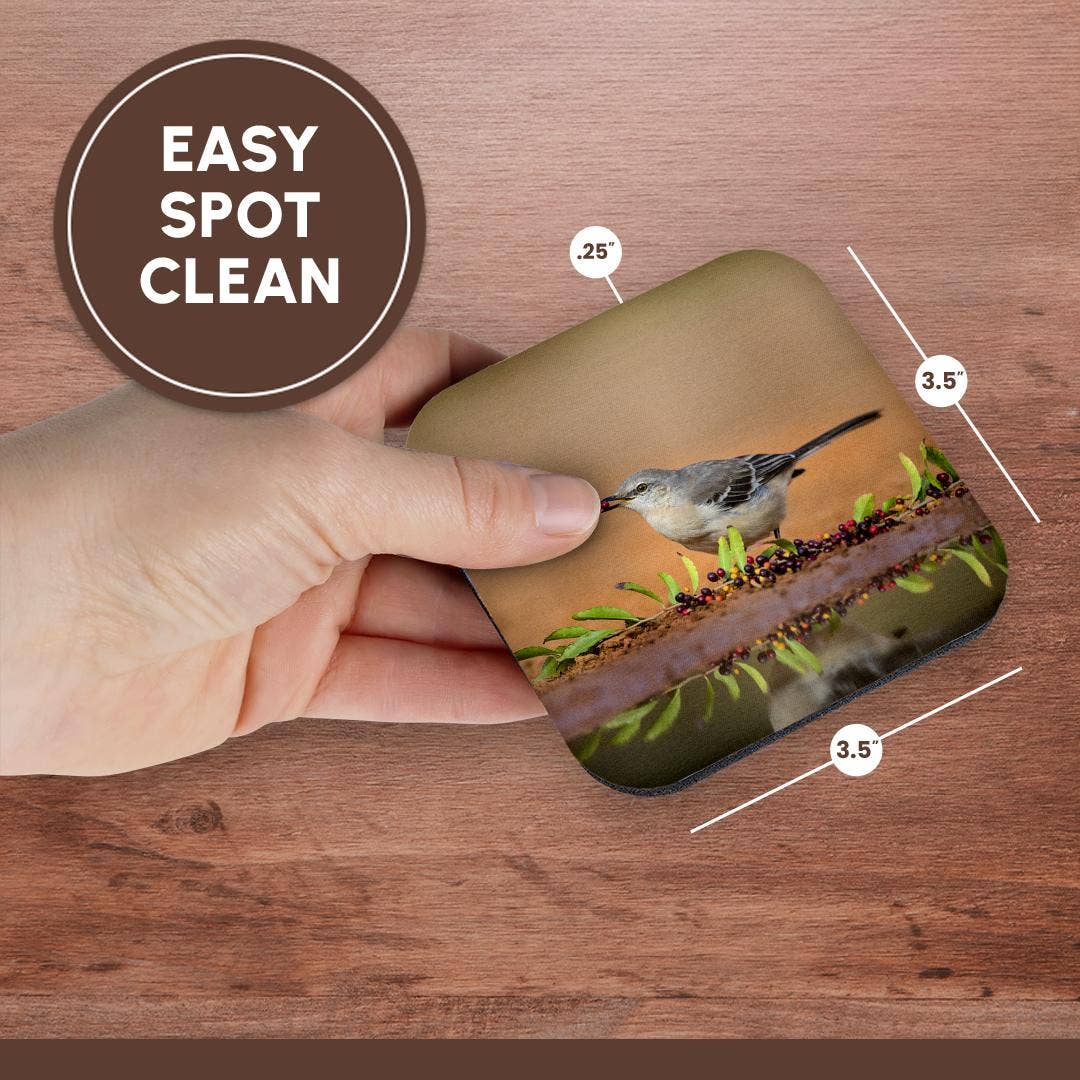 3dRose - Wholesale Coasters - 3dRose, Northern mockingbird, Mimus polyglottos feeding., Coaster13