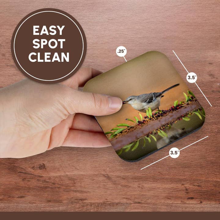 3dRose - Wholesale Coasters - 3dRose, Northern mockingbird, Mimus polyglottos feeding., Coaster13