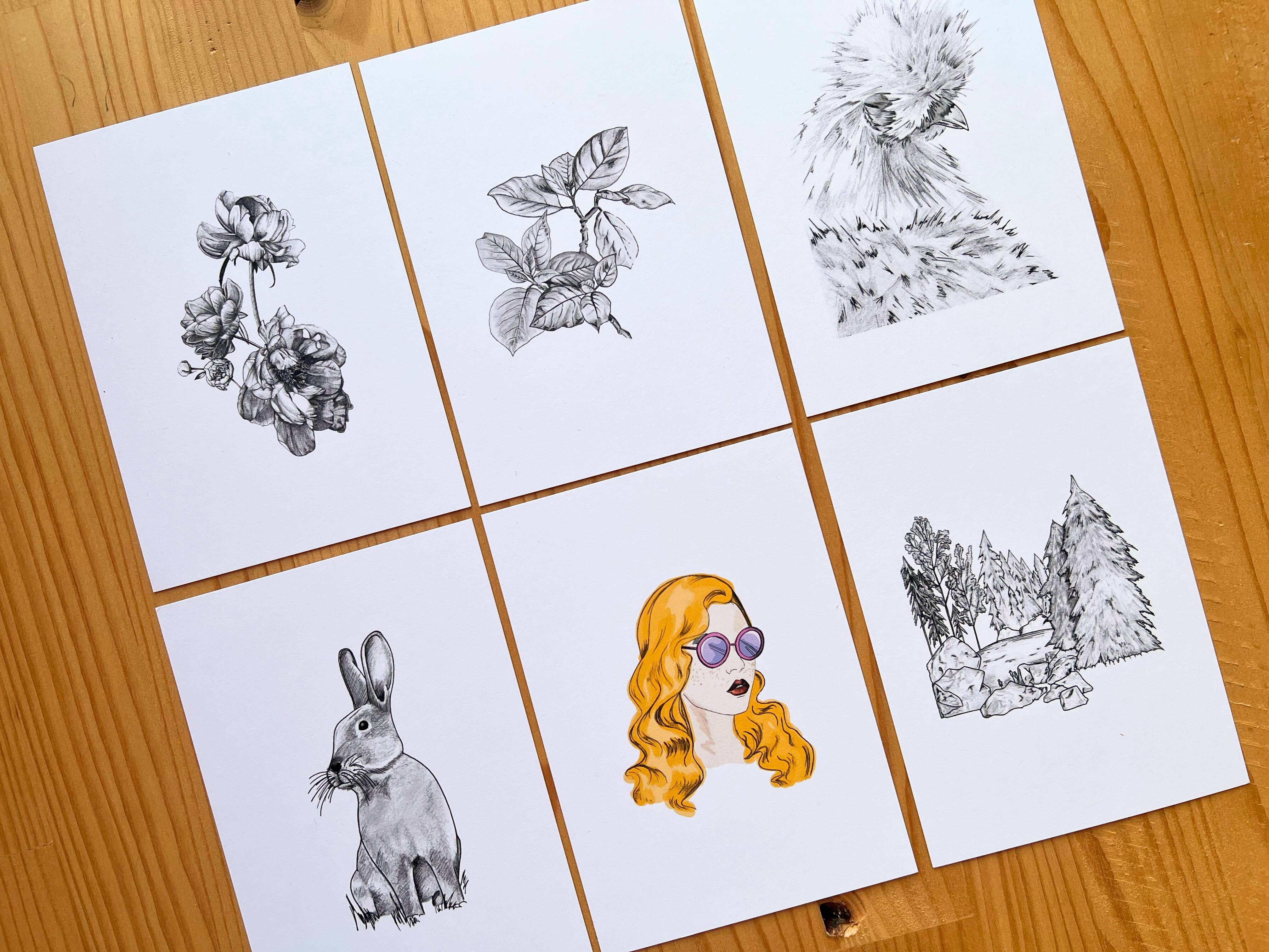 Maëlle LESAGE - Wholesale Retailer shelf talker - Discovery Pack A4 Posters and Postcards