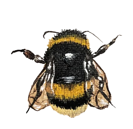 Kellie Sansone Creates - Wholesale Sticker - Vinyl Sticker7