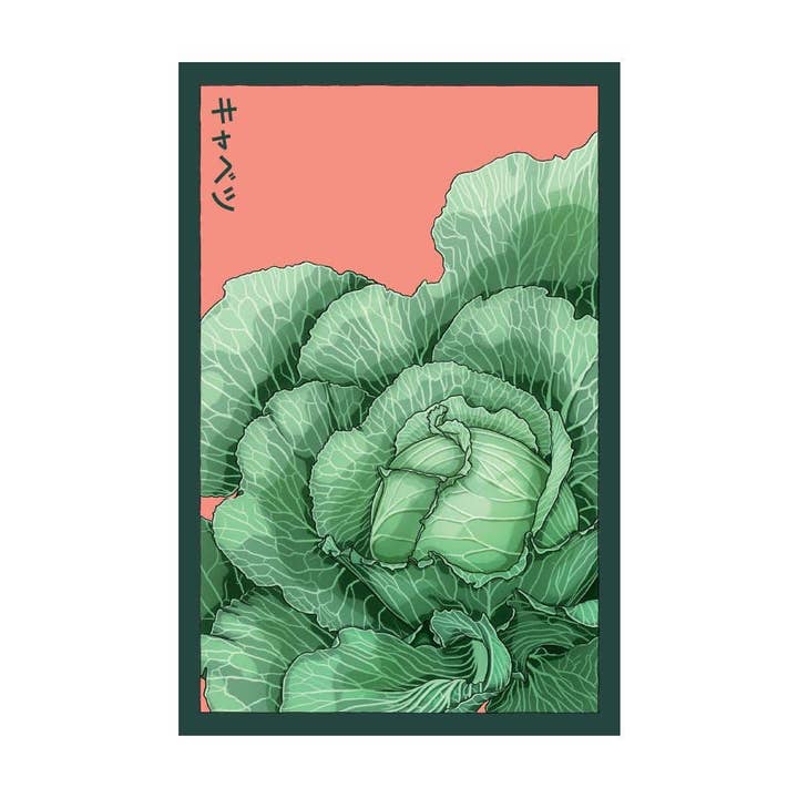 Chive Canada - Vente Graines de plantes - Shido Graines Chou Sachet de Graines de Légumes