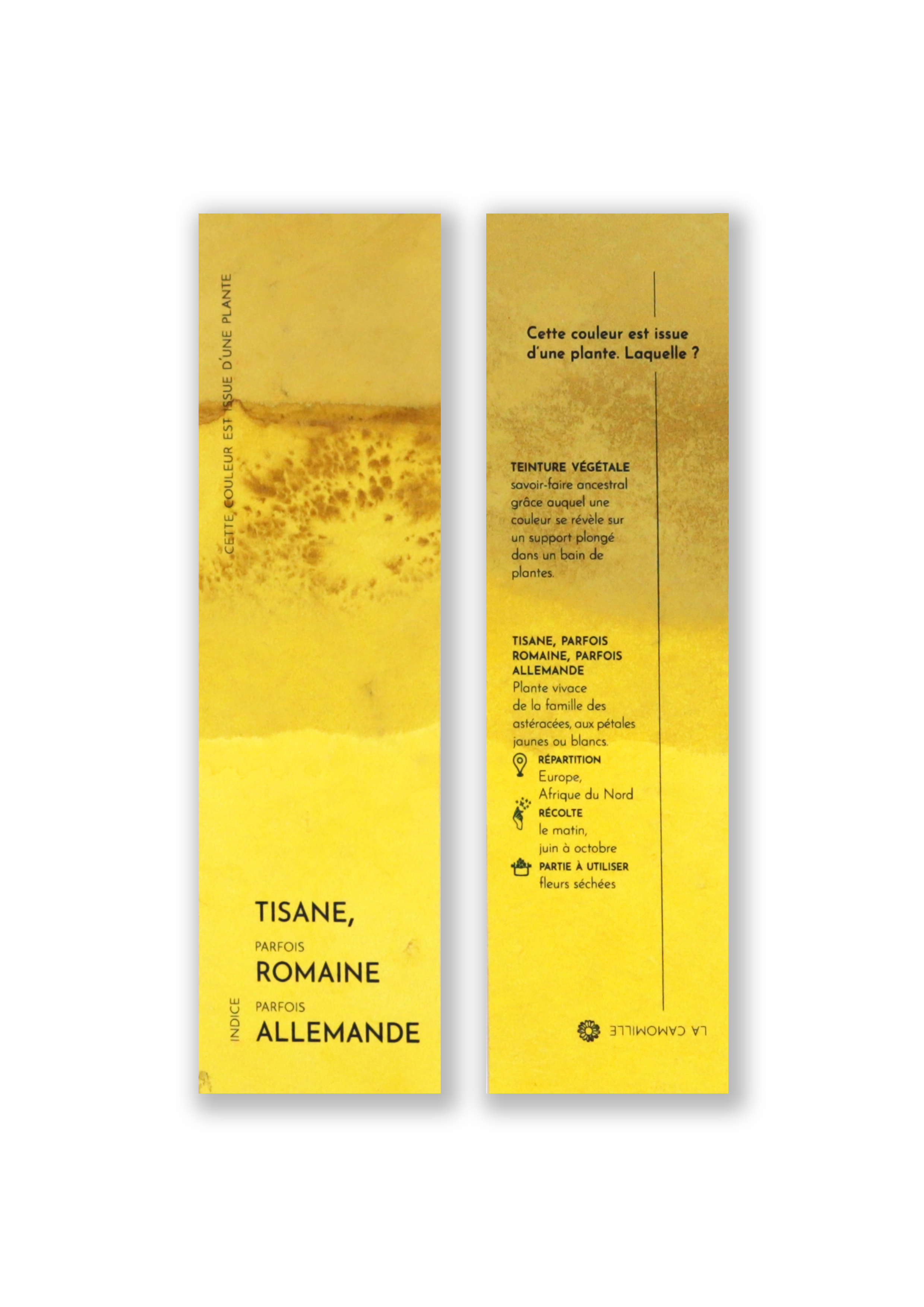 Cueillette - Wholesale Bookmark - Vegetal bookmark1