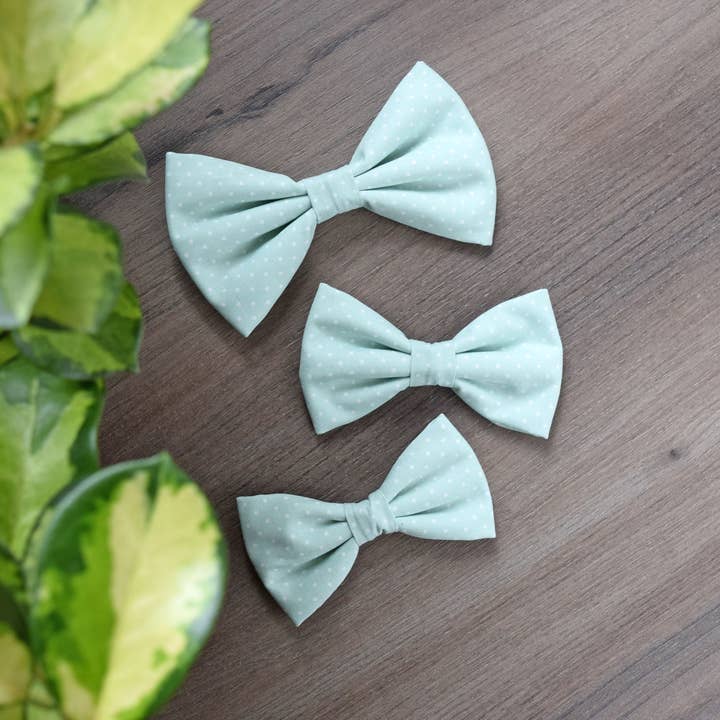 Mintgrön fluga för katt eller hund - Pastellgrön fluga för husdjur för wholesale av CrazyCoolCat