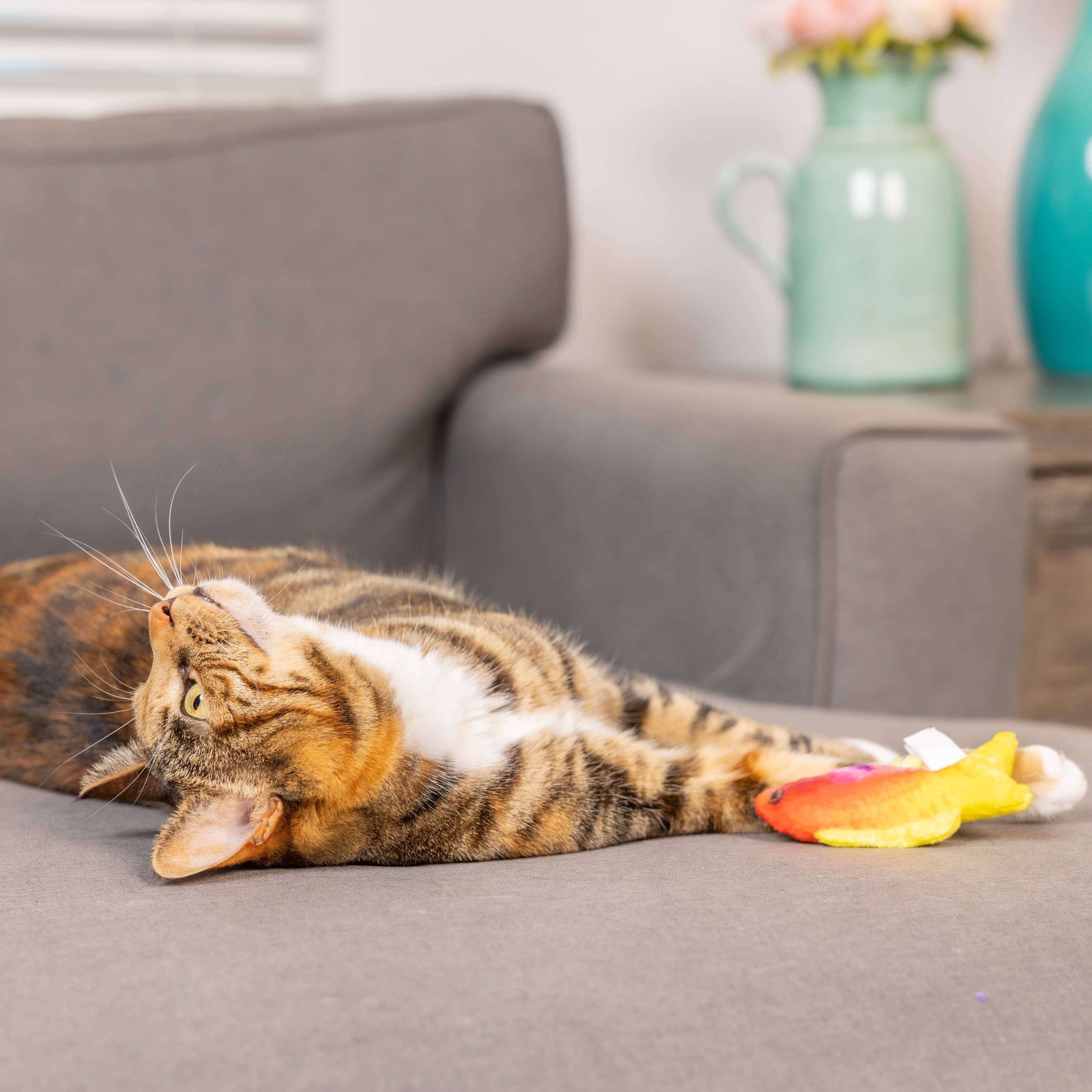 Huxley & Kent - Wholesale Pet Toy - Cat - Rainbow Guppy Cat Toy6