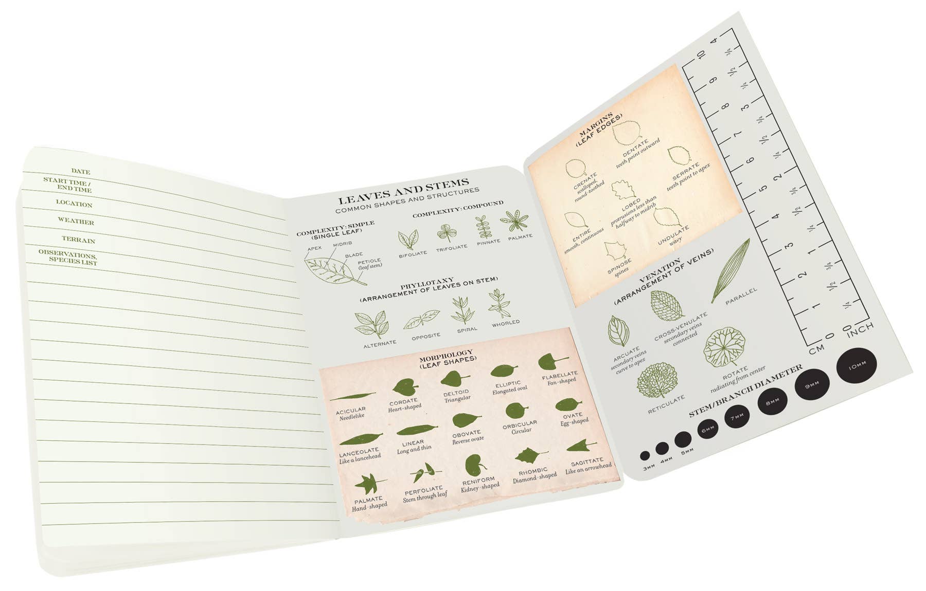 Unemployed Philosophers Guild - Wholesale Notebook - Botany Naturalist's Notebook2