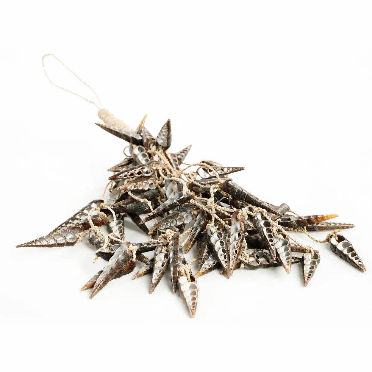 Bazar Bizar Living - Vente Pompons décoratifs/décorations murales - Glands en coquillages licorne - marron7