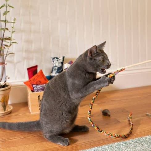 Dr. Pussums Catnip - Wholesale Pet Toy - Cat - Cat Teasers Cat Toys6