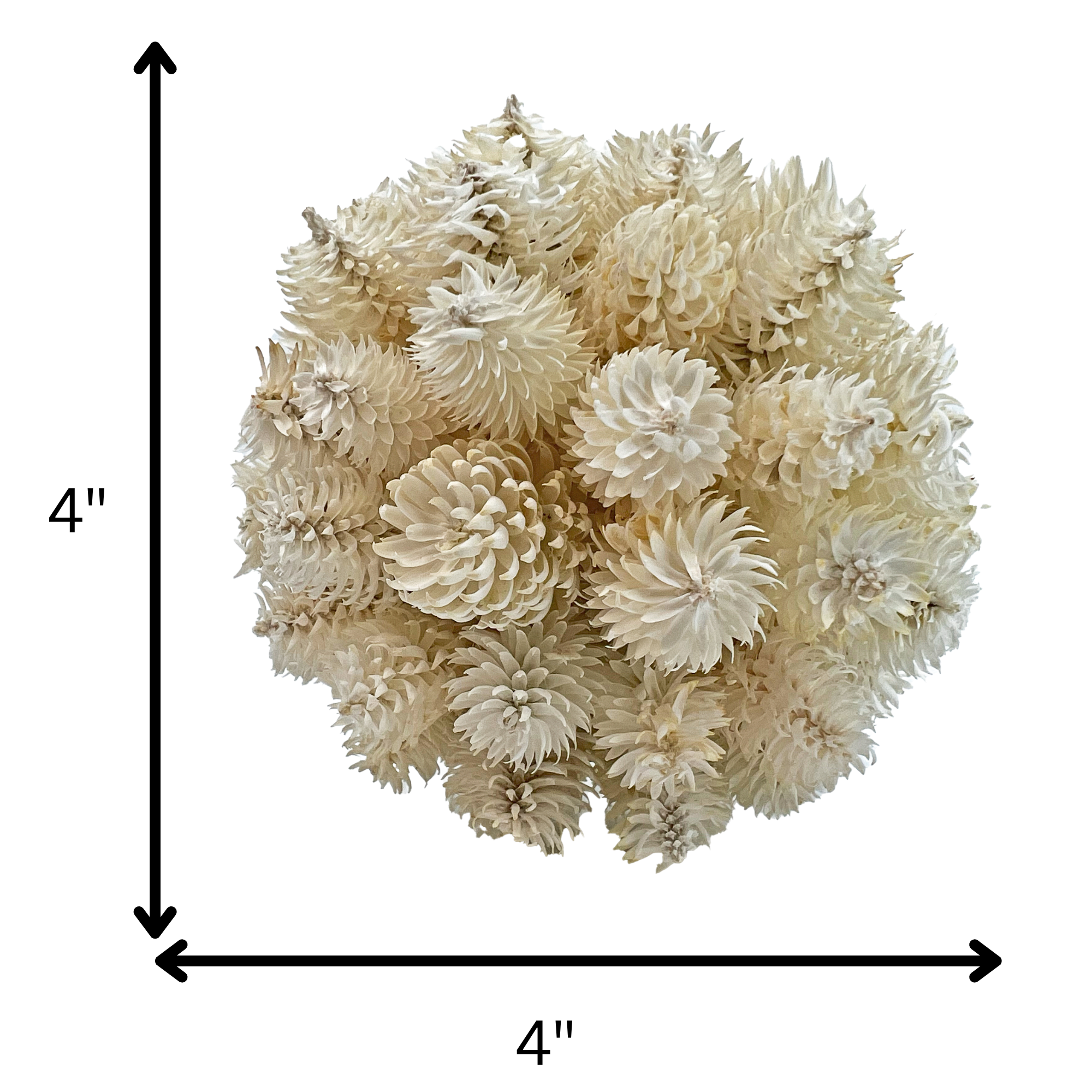 2626 Designs - Wholesale Decorative Tabletop Object - 3 Handmade Preserved Natural Floral Topiary Balls 8