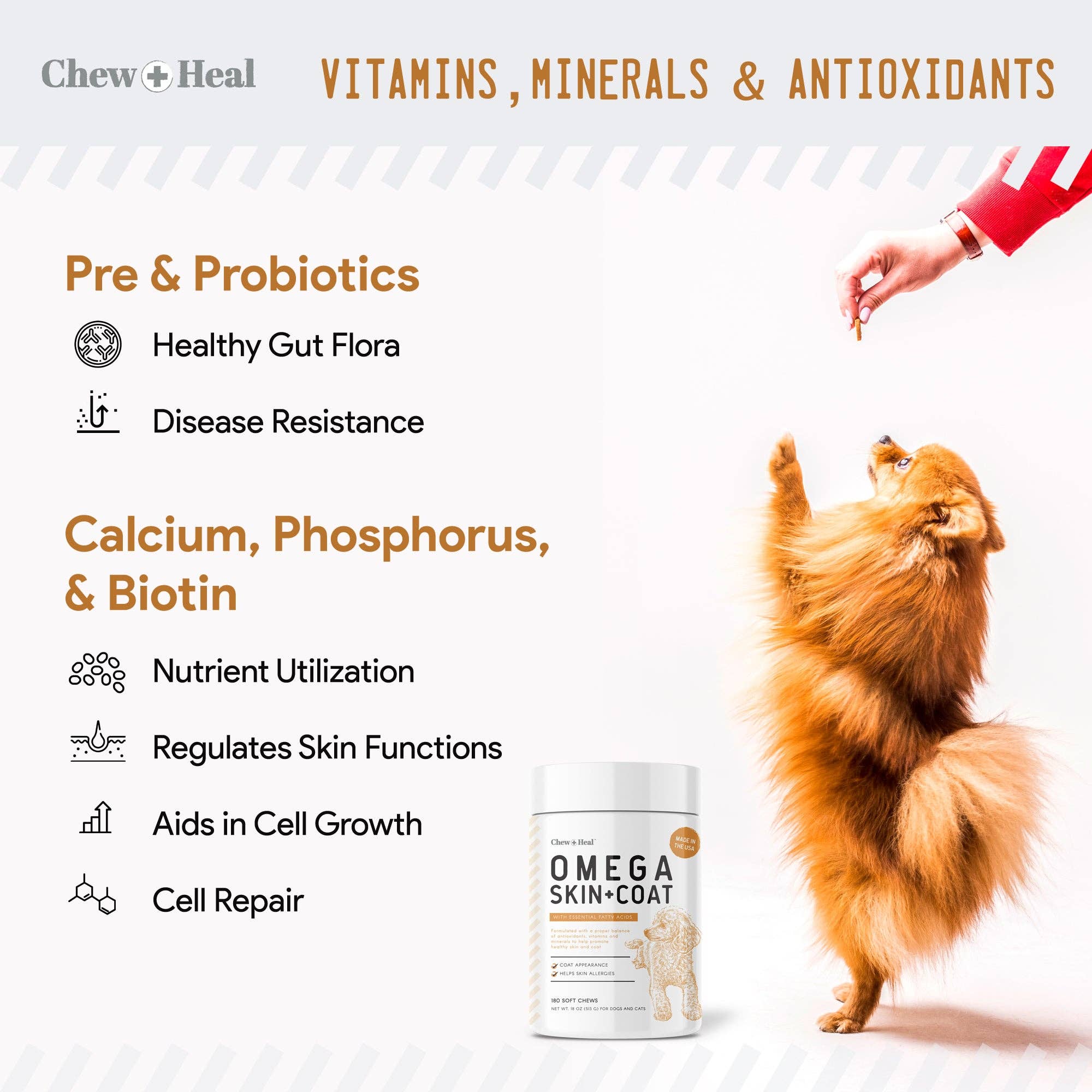 Chew + Heal - Wholesale Pet Supplement - Dog - Omega Skin & Coat Supplement3