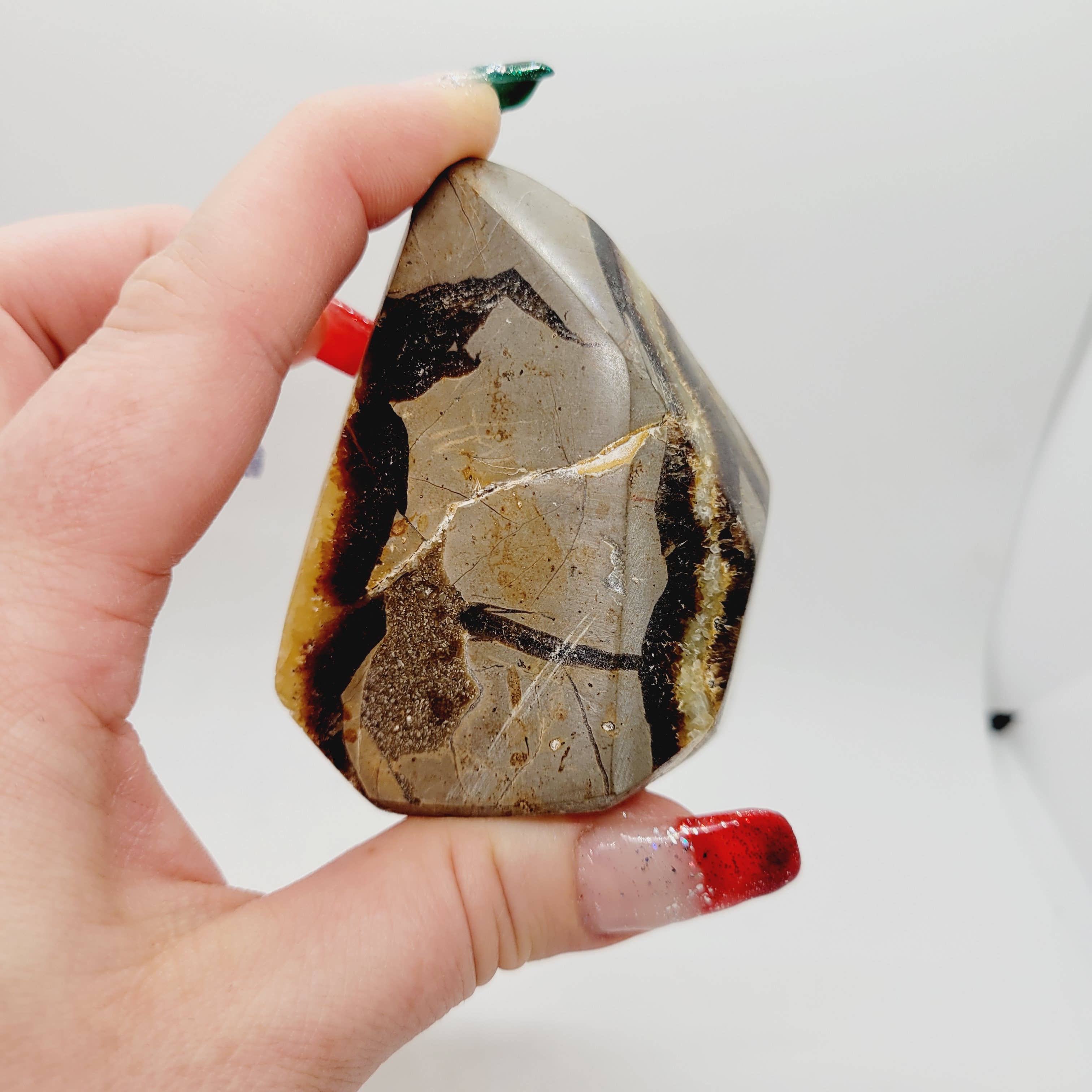 The Raven's Edge - Wholesale Spiritual Stone/Crystal - Septarian Stone Free form Crystal Standing Free form4