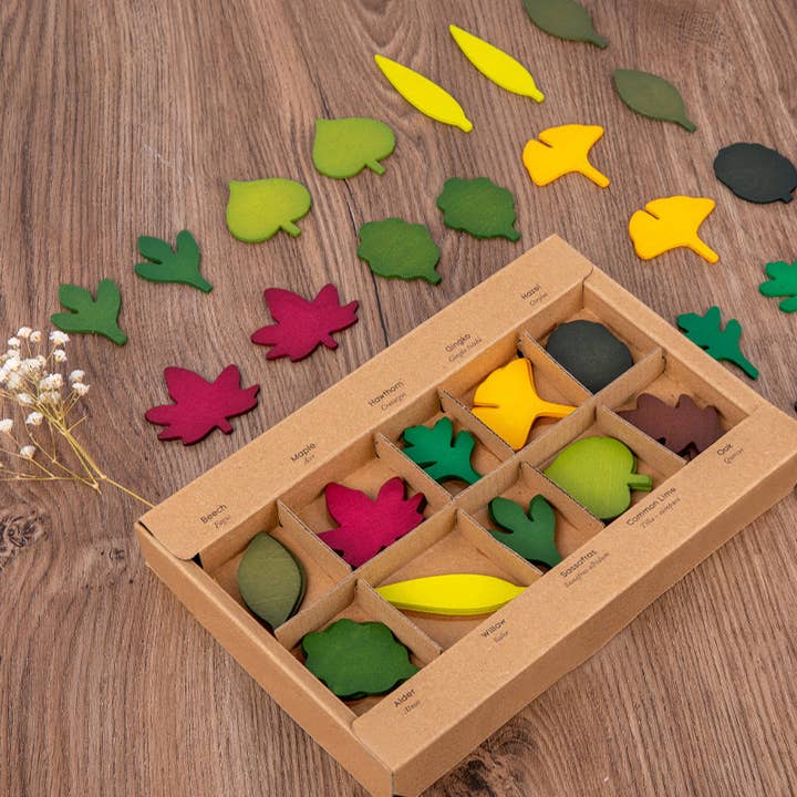Q&C Distribution - Wholesale Wood Toy - Kids - Wooden Leaf Toy Montessori Toys (3+)3