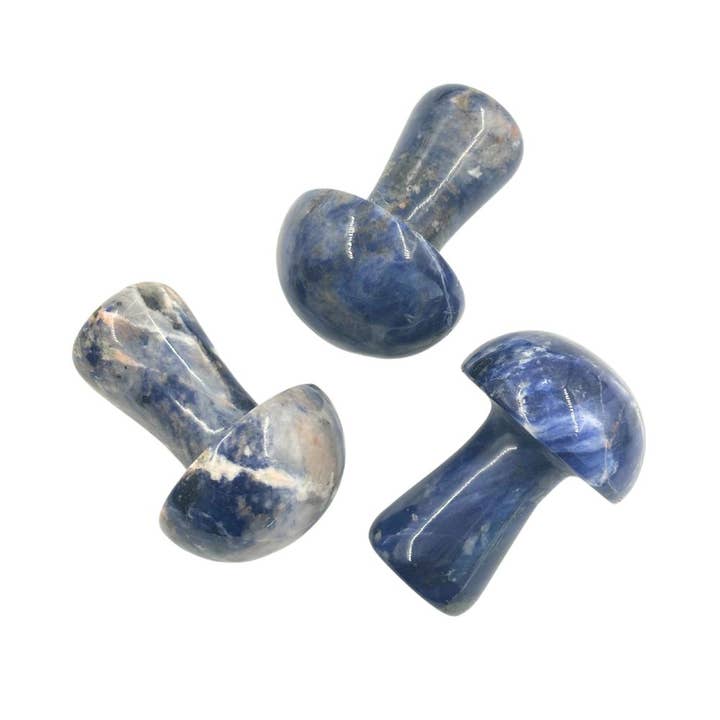 Earths Elements Wholesale - Wholesale Spirituele steen/kristal - Grote paddenstoel - Sodaliet