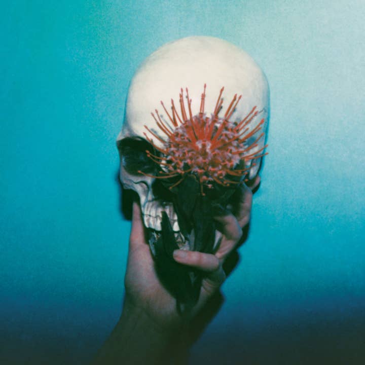 Puff Coffee - Wholesale Coffee Beans - Mexico El Acido2