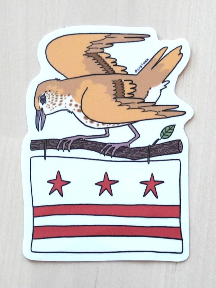 Washington, DC - 3" Official Bird and Flag Sticker for wholesale by Lydia Tonkonow Art and Design LLC
