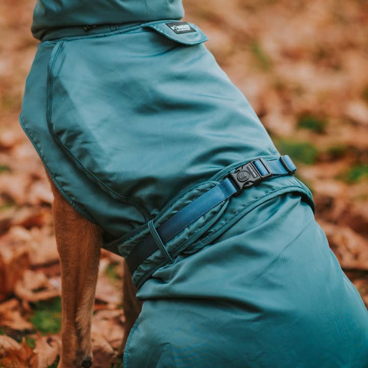 Stylish Hound - Wholesale Pet raincoat – Dog - Teal Trench Coat3