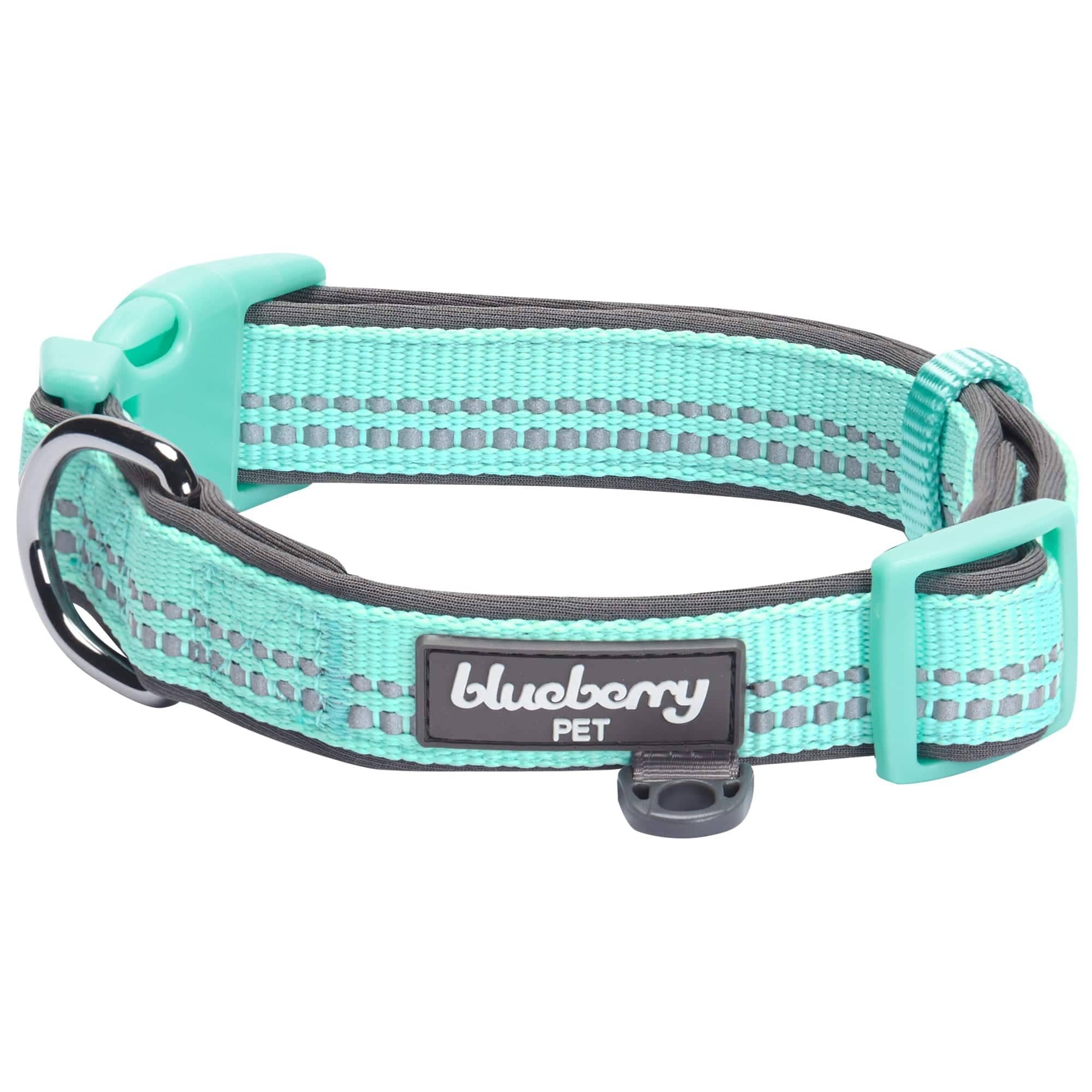 Blueberry Pet - Vente Collier – chien - Collier de sécurité rembourré en néoprène souple réfléchissant 3M6