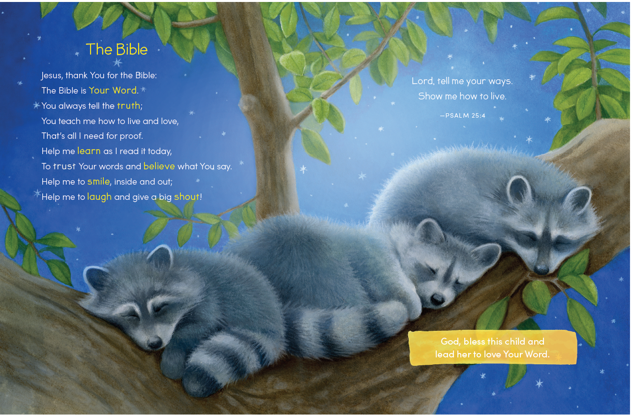 HarperCollins Christian Publishing - Wholesale Baby & Toddler Book (0-2) - God Bless This Child1