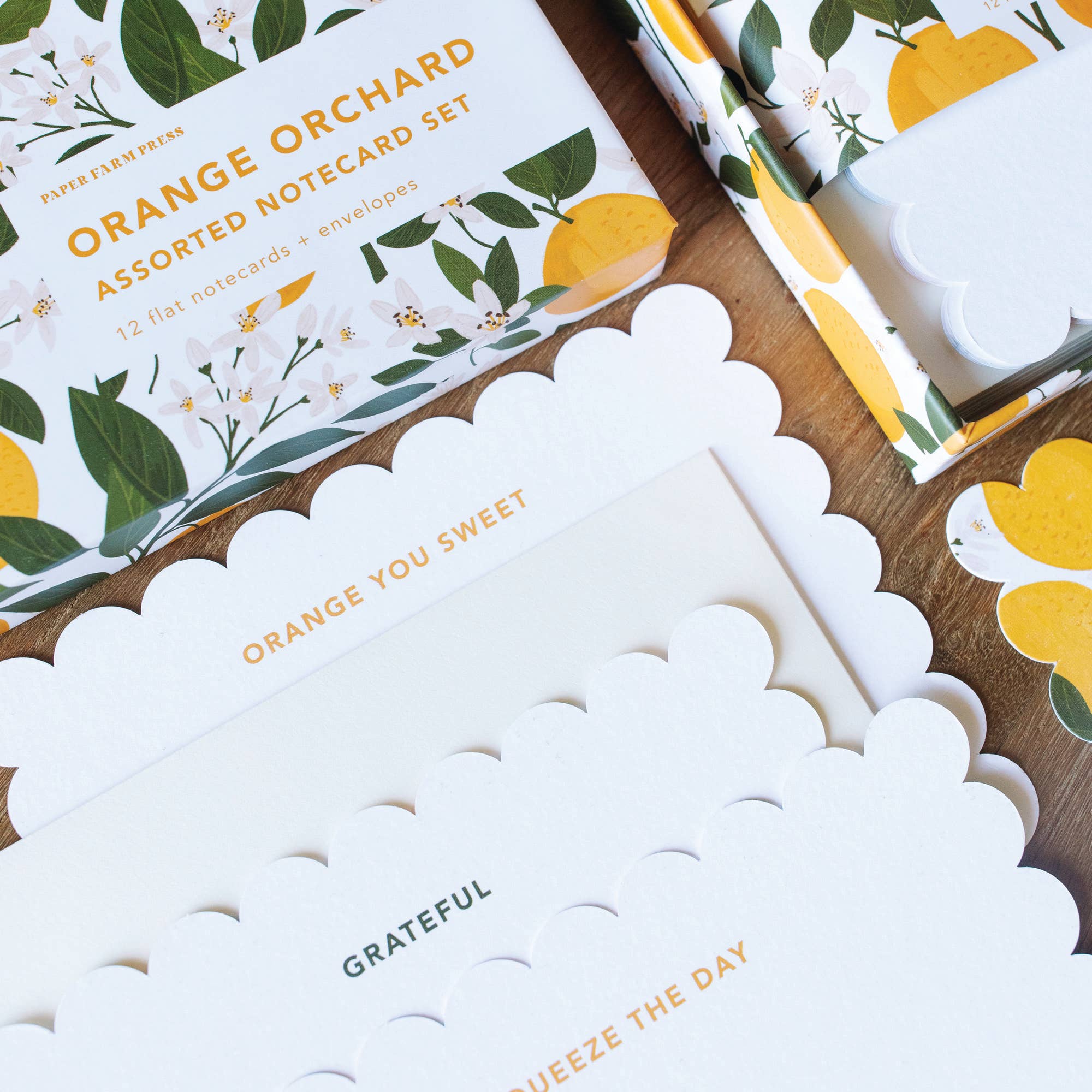 Paper Farm Press - Wholesale Stationery/Notecard Set - Orange Orchard Assorted Notecard Set3