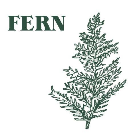 Heaven Scent Incense Ltd - Wholesale Reed Diffuser - NEW! Green Botanical Range 100ml Reed Diffuser - UK ONLY3