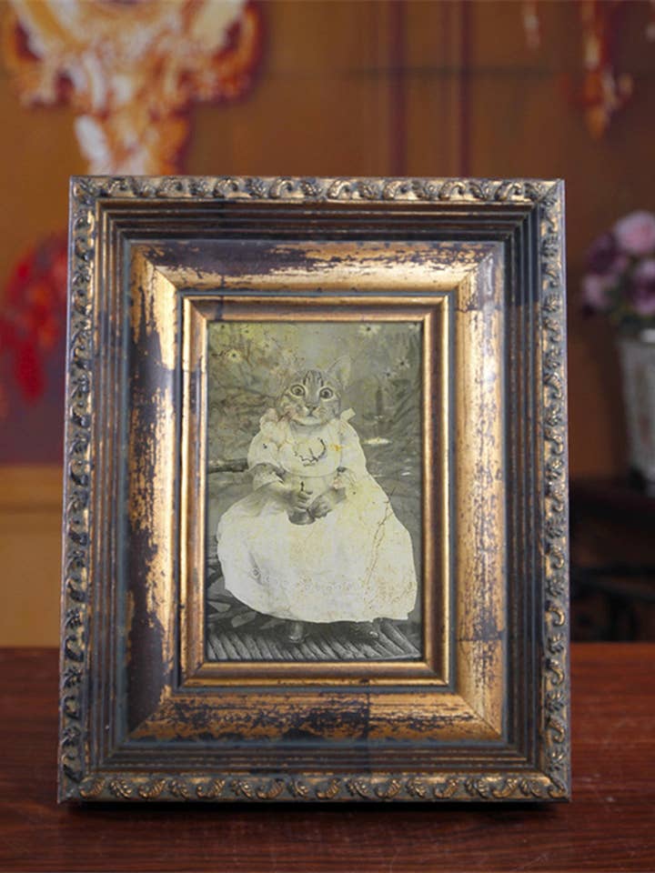 5" x 7" Baby Cat Print, Kitten Weird Creepy Cute for wholesale by The Wild Oddisorium