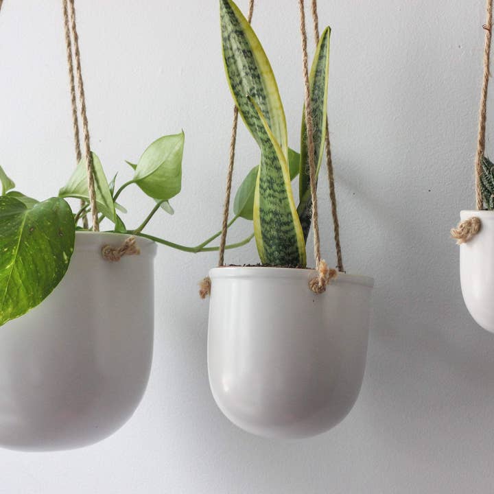 Sprout & About - Vente Jardinière suspendue - Jardinière suspendue en céramique blanche mate