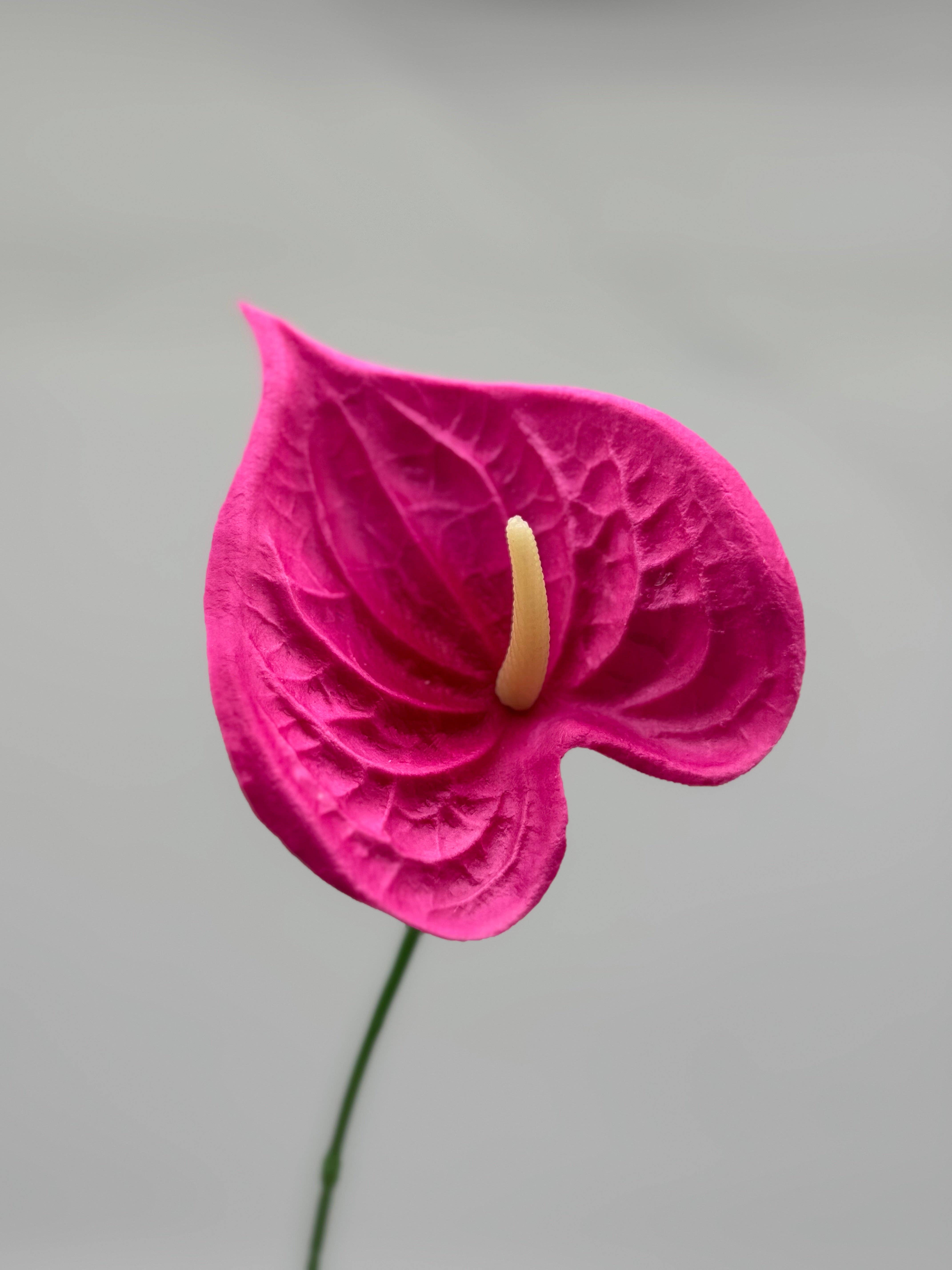 JKF & Co Pty Ltd - Wholesale Artificial Flowers - Anthurium Small Real Touch Single Stem8