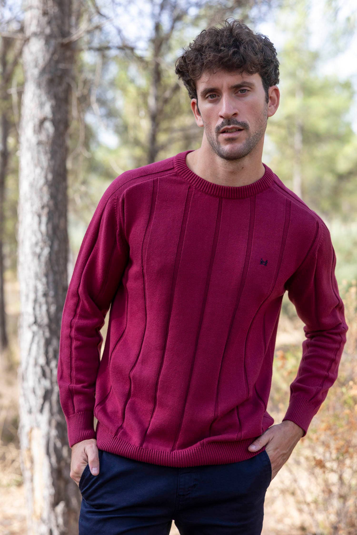 Custi Mikelo: Men's Clothing & Christmas Gifts - Wholesale Knitted jumper – Men′s - Burgundy Vertical Stripe Jersey