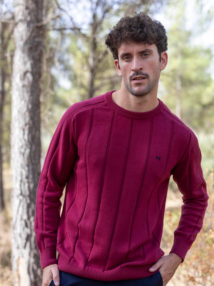 Custi Mikelo: Men's Clothing & Christmas Gifts - Wholesale Knitted jumper – Men′s - Burgundy Vertical Stripe Jersey0
