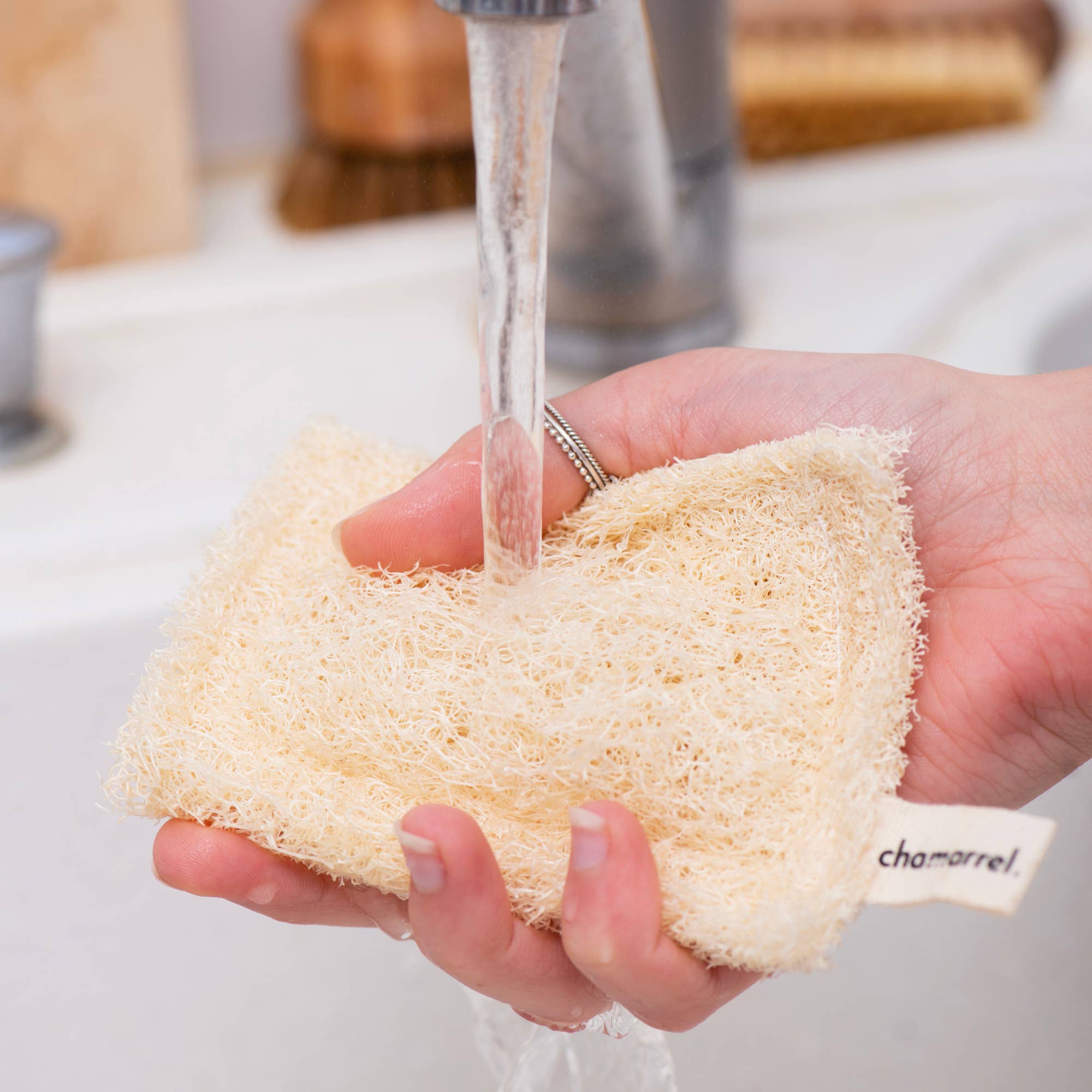 CHAMARREL - Wholesale Cleaning Sponge - Loofah dish sponge | Luffa2