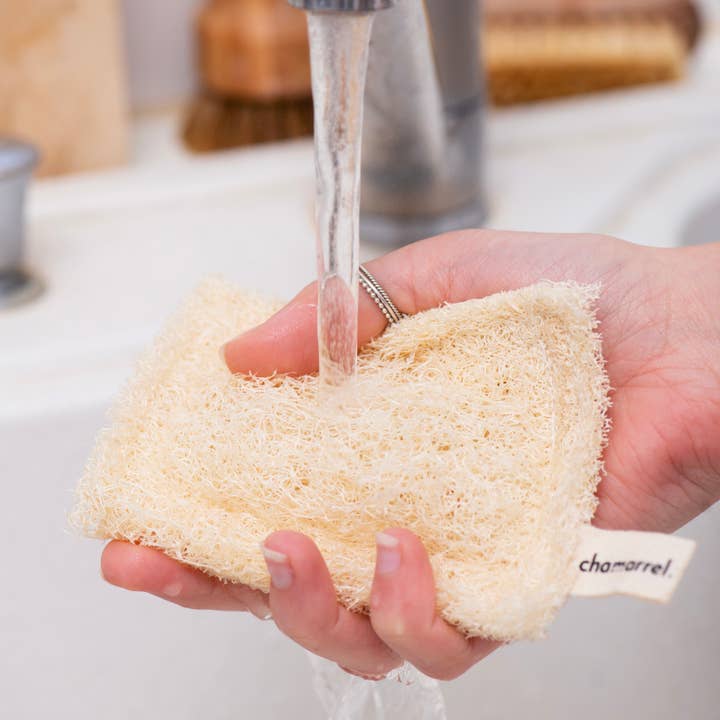 CHAMARREL - Wholesale Cleaning Sponge - Loofah dish sponge | Luffa2