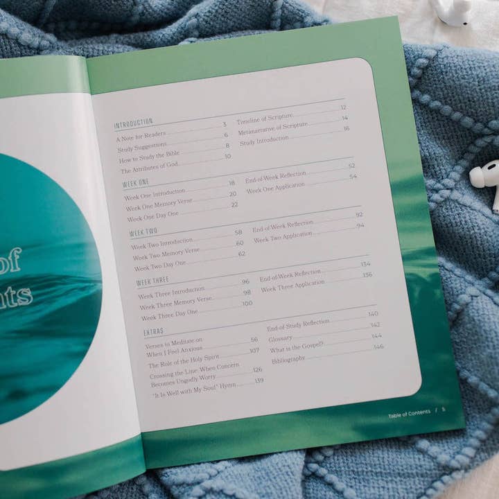 The Daily Grace Co - Wholesale Book - Adult - It Is Well for Teens