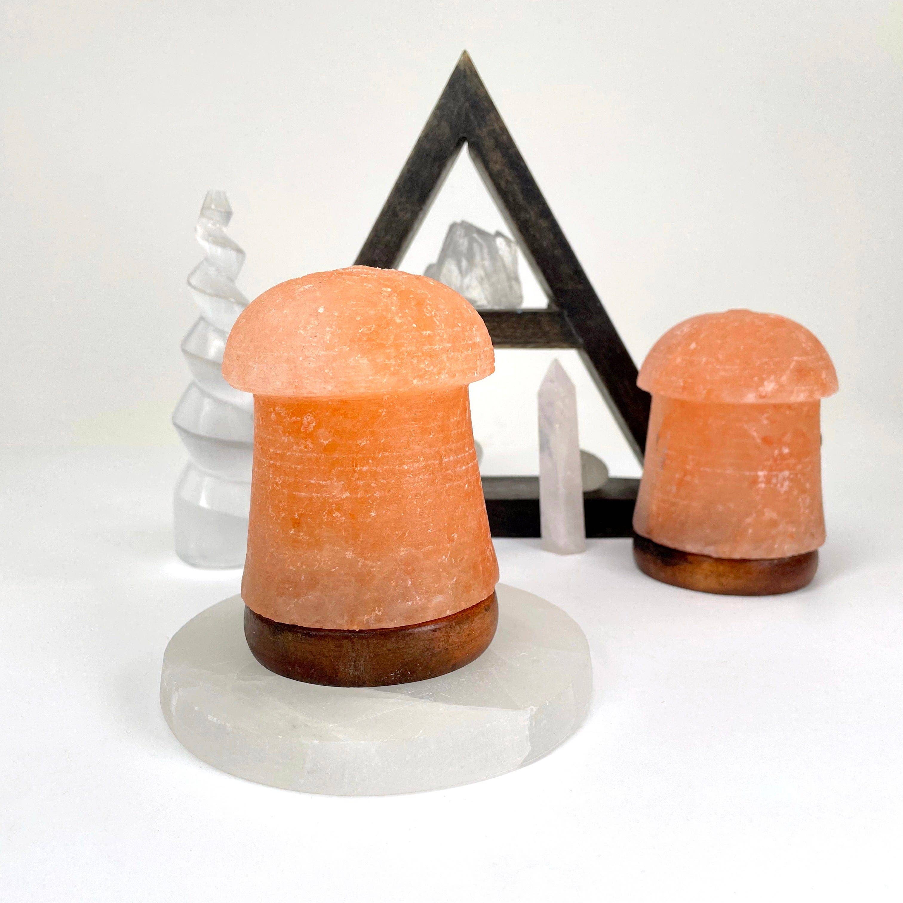 Rock Paradise - Wholesale Salt Lamp - Crystal Himalayan Salt Orange Mushroom Lamp1
