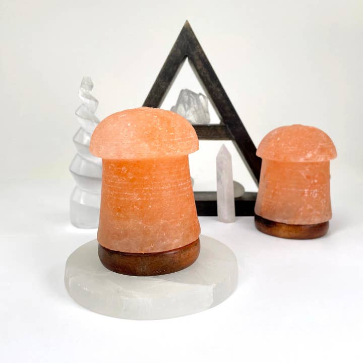 Rock Paradise - Wholesale Salt lamp - Crystal Himalayan Salt Orange Mushroom Lamp1