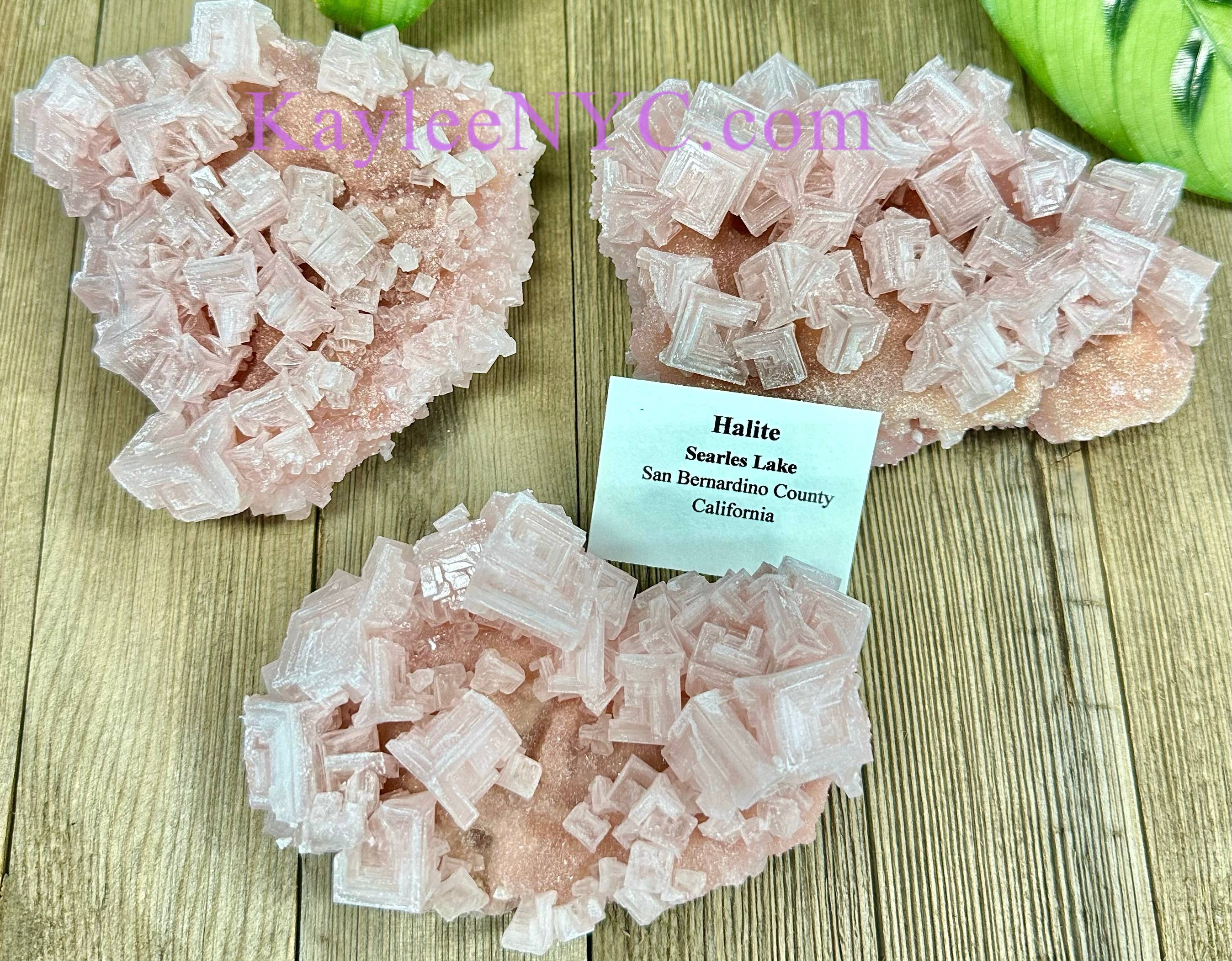 KayleeNYC - Wholesale Spiritual Stone/Crystal - Natural Pink Halite Specimen Raw Crystal3