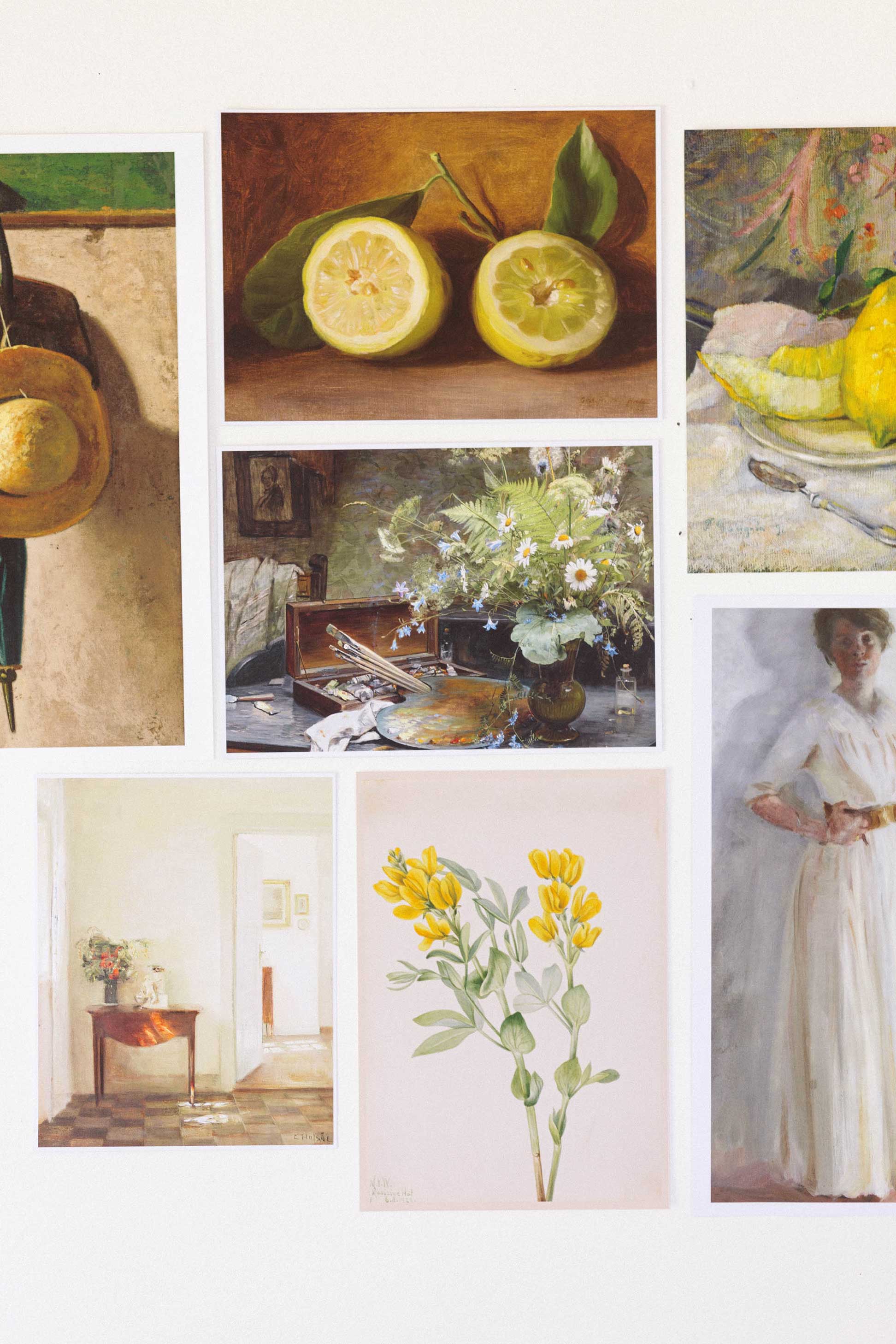 Lazybones - Wholesale Art Print - Art print set - The Naturalist3