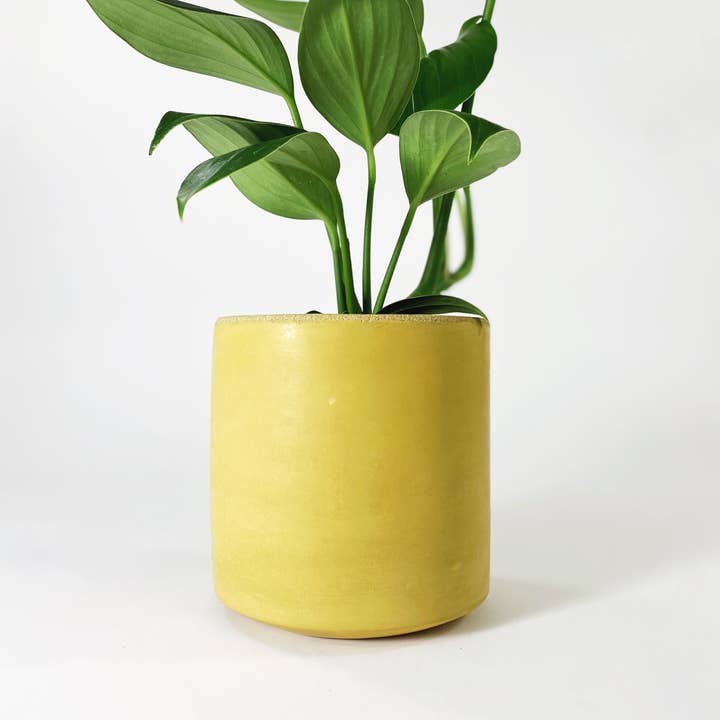 Settlewell - Wholesale Plant Pot - 6" Straight Sided Concrete Pot / 17 Colors12