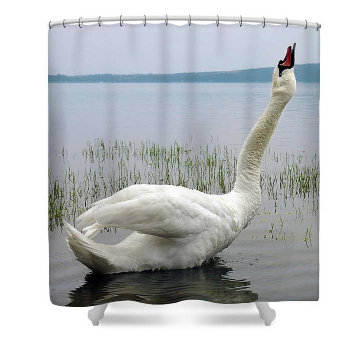 “THE SWAN'S CALL” SHOWER CURTAIN for wholesale by sorayadapuzzostore