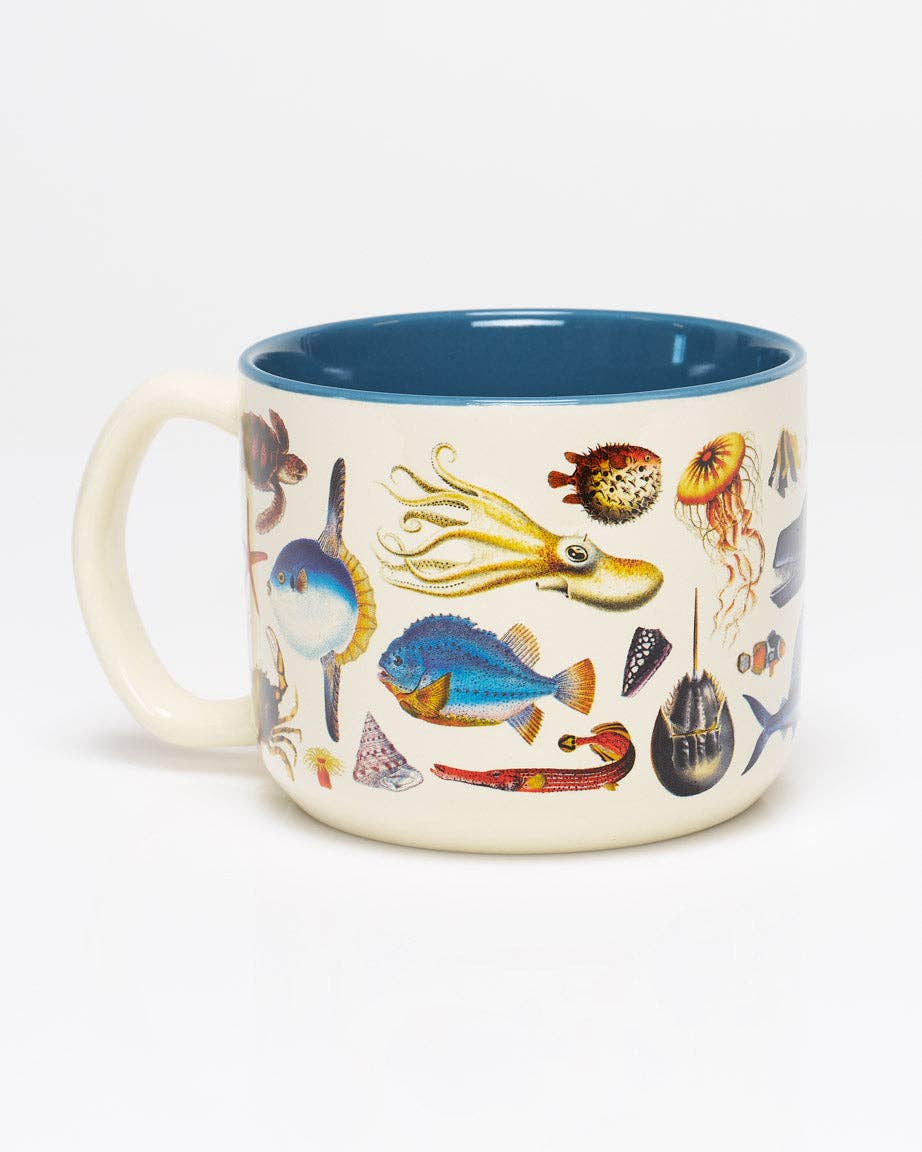 Cognitive Surplus EU - Vendita all'ingrosso Tazza - Tazza in ceramica da 15 oz di Zoologia Marina (Confezione da 4)1