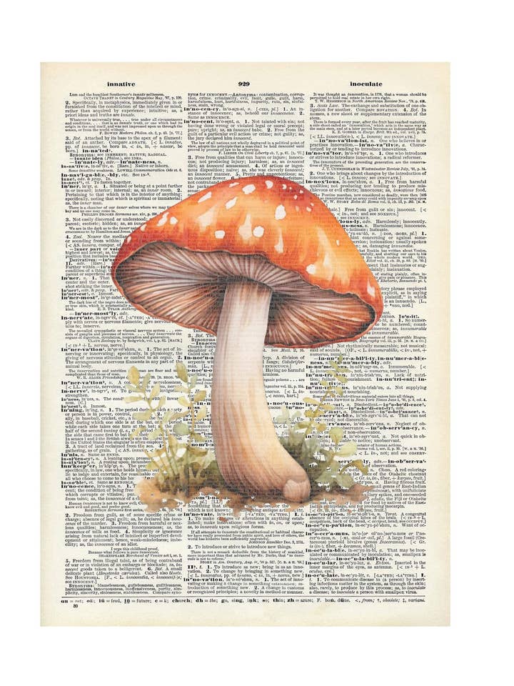 Tall mushroom, fall themed , dictionary print. for wholesale by Crazilyhumbledesigns